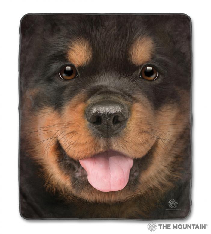 Cute Puppy jigsaw puzzle online