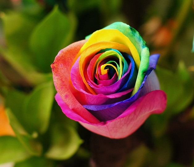 ❤ färgglad blomma ❤ pussel på nätet