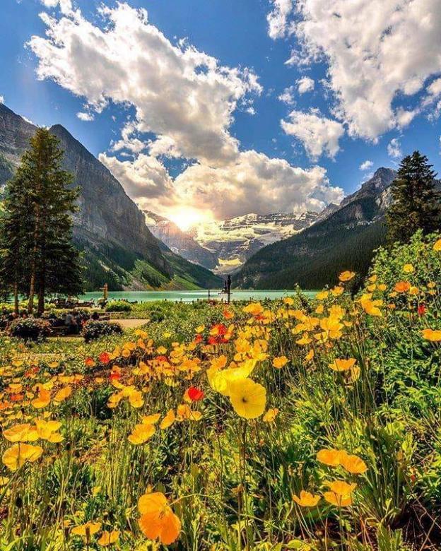 In summer at Lake Louise, Alberta - Canada jigsaw puzzle online