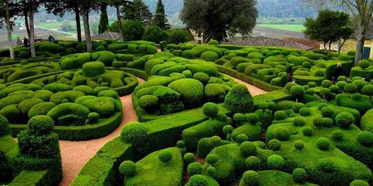 In einem grünen Garten. Puzzlespiel online