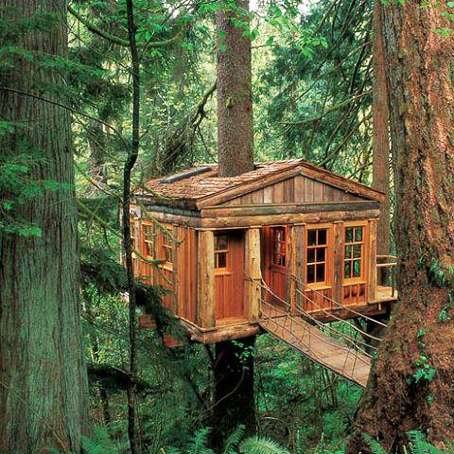 Къща на дървото онлайн пъзел