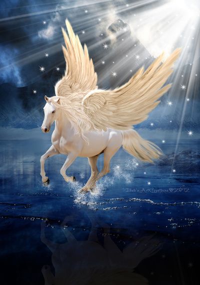 noční Pegasus online puzzle