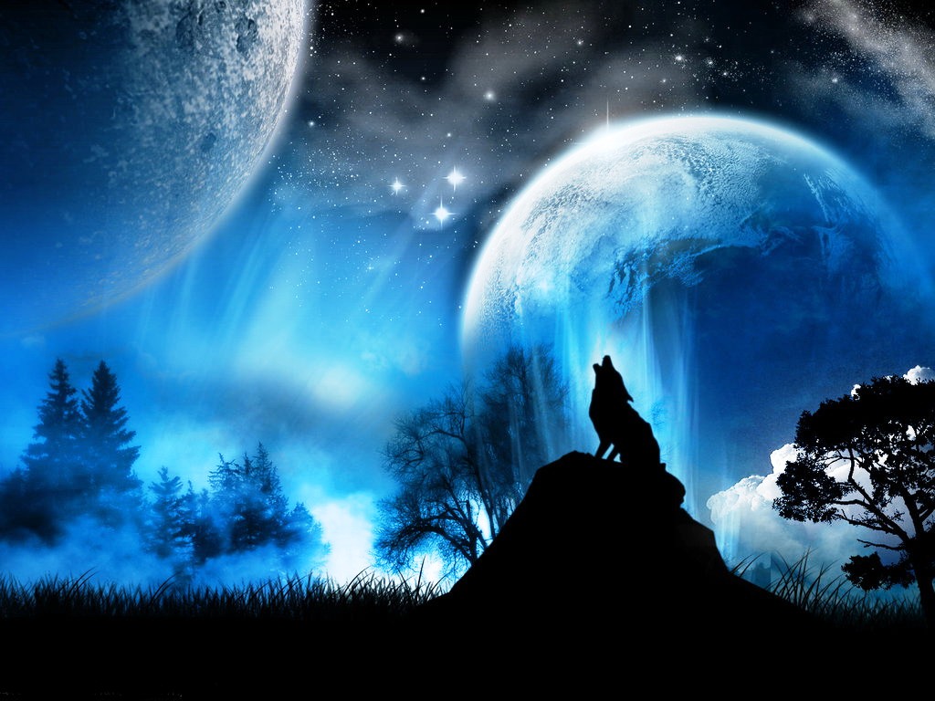 красив вълк през нощта онлайн пъзел
