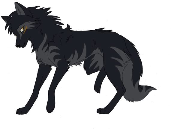 černý a šedý vlk skládačky online