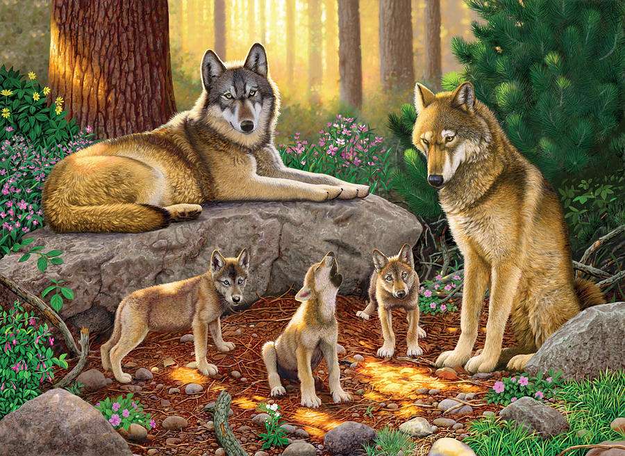 Wolfs familj. pussel på nätet