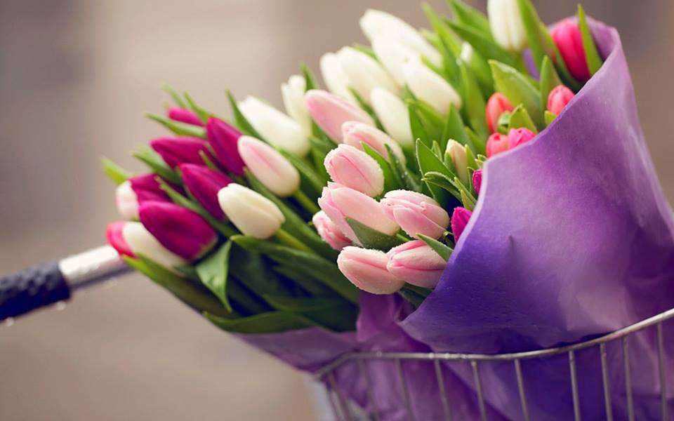 csodálatos tulipánok online puzzle