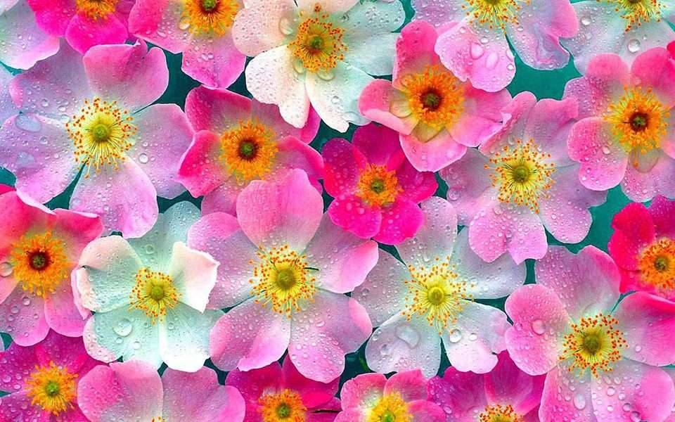 fleurs  online puzzel