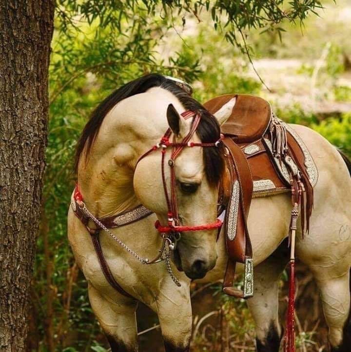 Красив кон под дървото онлайн пъзел