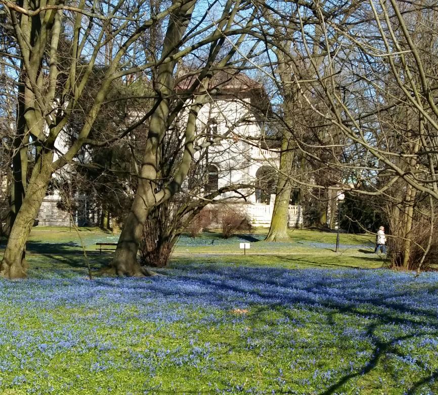 Весна в парке Клепач онлайн-пазл