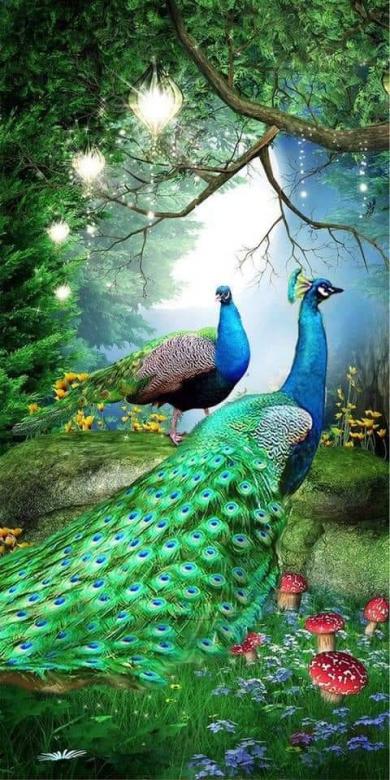 Två vackra påfåglar som omges av grönska pussel på nätet