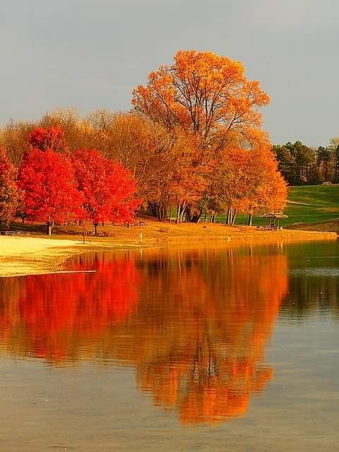 Gyönyörű ősz. kirakós online
