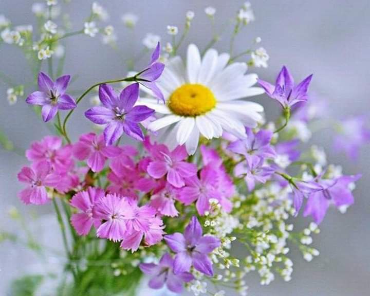 Цветя, малки цветя онлайн пъзел
