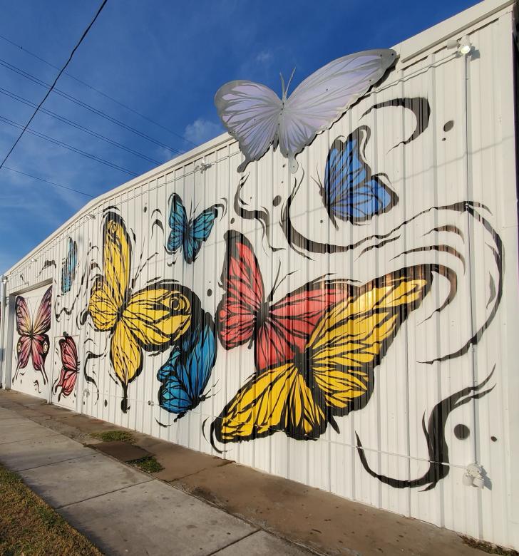 Schmetterlinge am Gebäude, USA Online-Puzzle