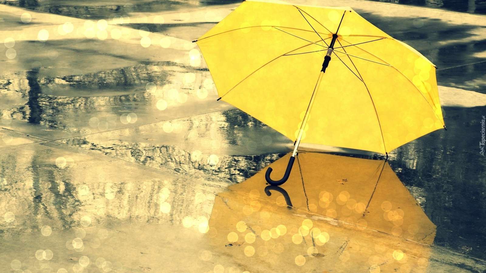 parapluie  legpuzzel online