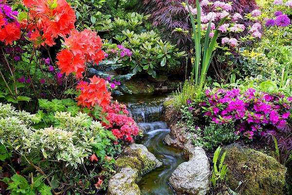 Azaleas and rhododendrons. online puzzle