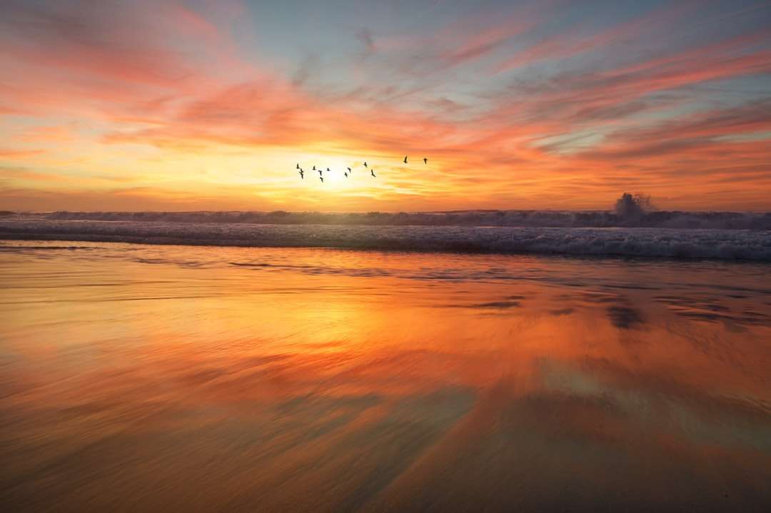 Soluppgång på stranden i San Diego pussel på nätet