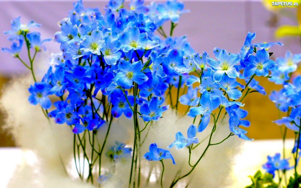 Синие цветы пазл онлайн