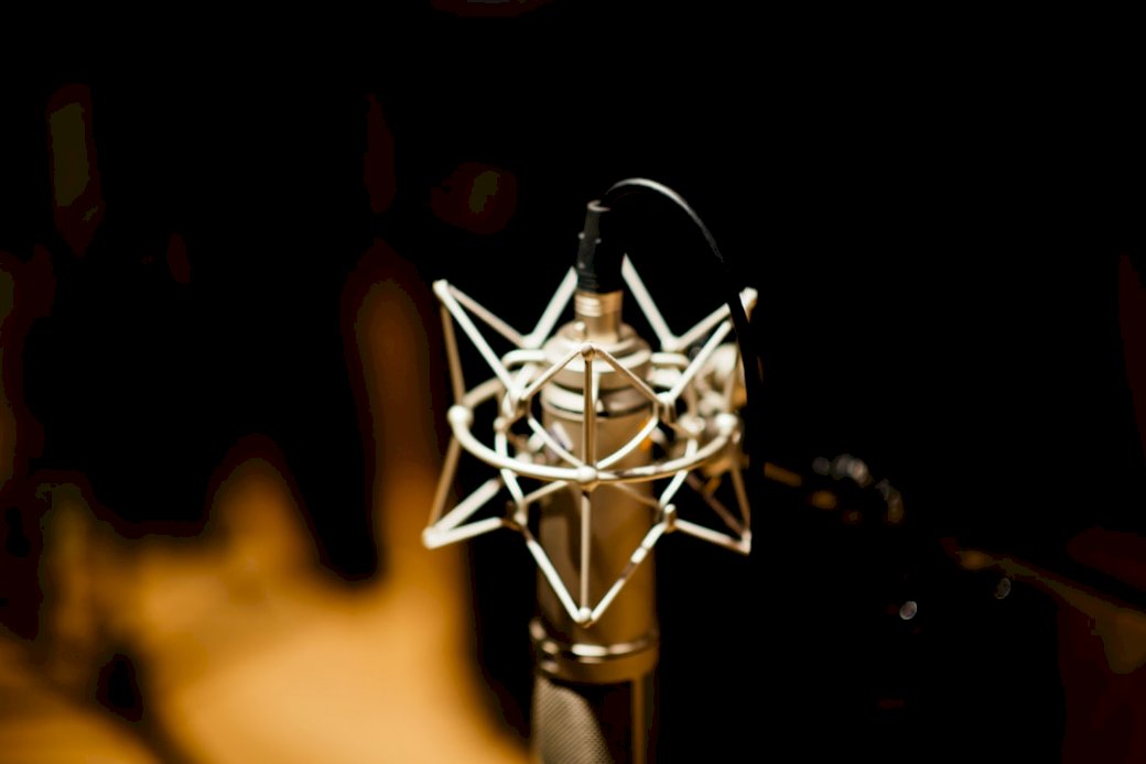 Close up to microphone jigsaw puzzle online