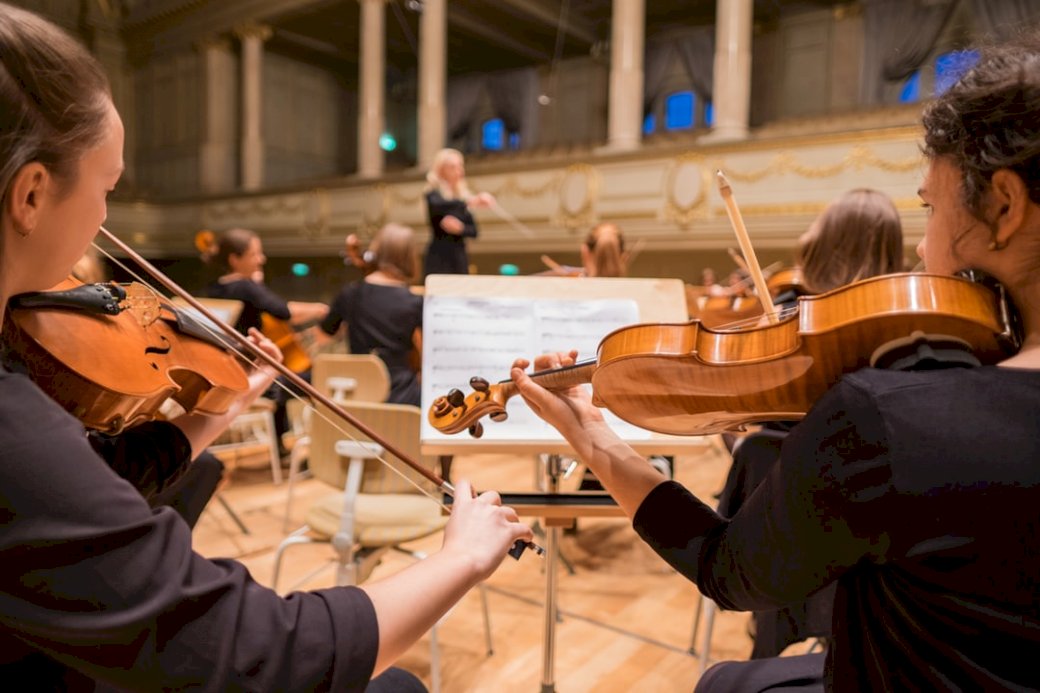 Viola konsert Pussel online