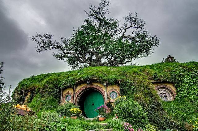 has a green door on the roof is growing a tree jigsaw puzzle online
