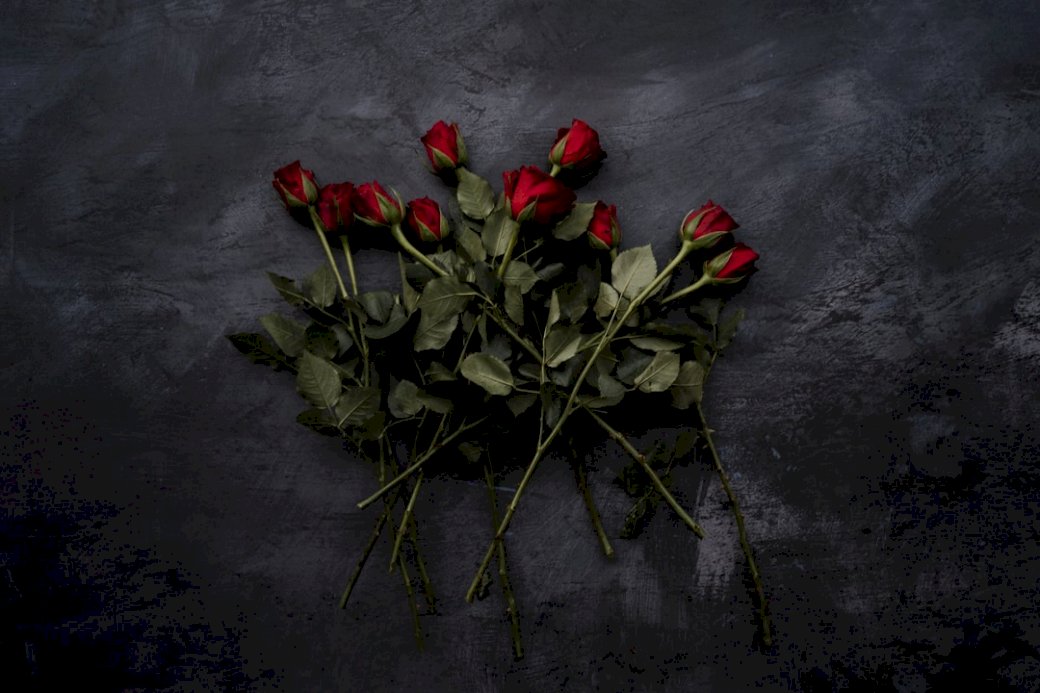 Vörös rózsa vásárolok, Valentin-nap, online puzzle