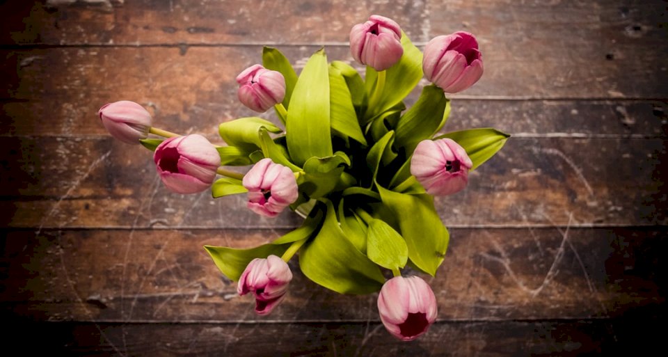 Tulpen, bloemen legpuzzel online
