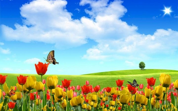 Frühlingsblumen. Online-Puzzle
