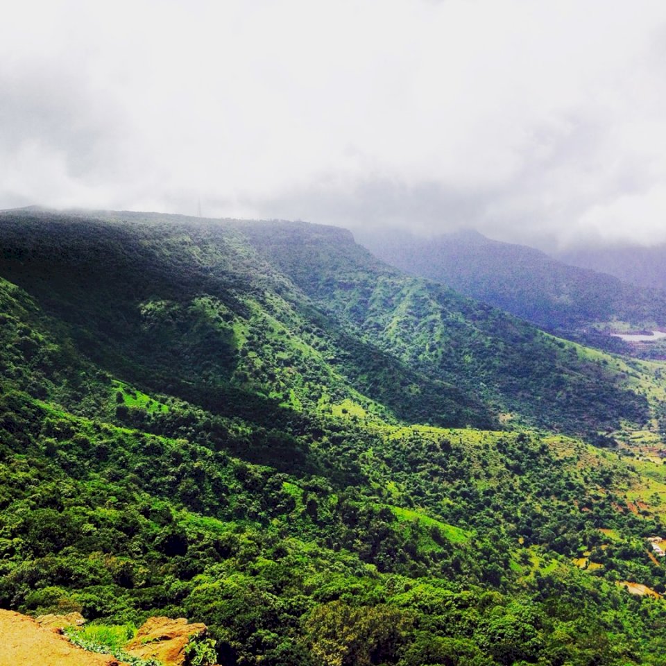 Тропически гори по хълмовете онлайн пъзел