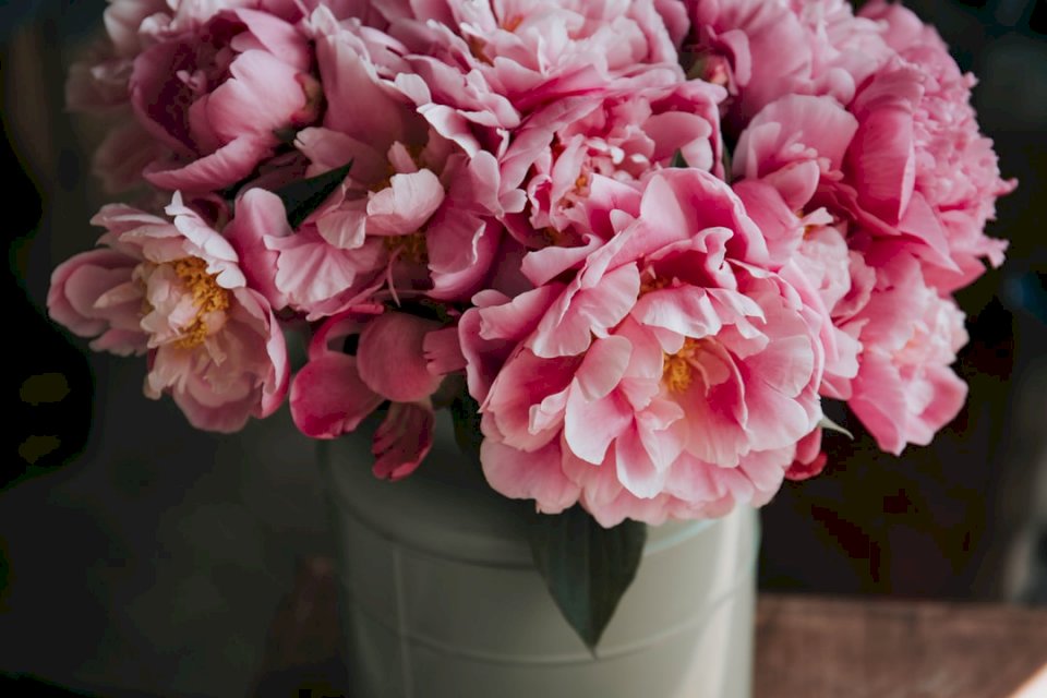 Rózsaszín virágok vázában kirakós online