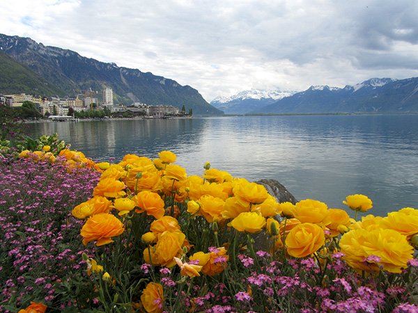 Schweiz. Montreux. pussel på nätet