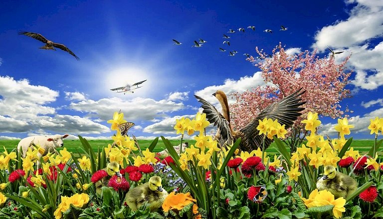 Spring in nature. jigsaw puzzle online