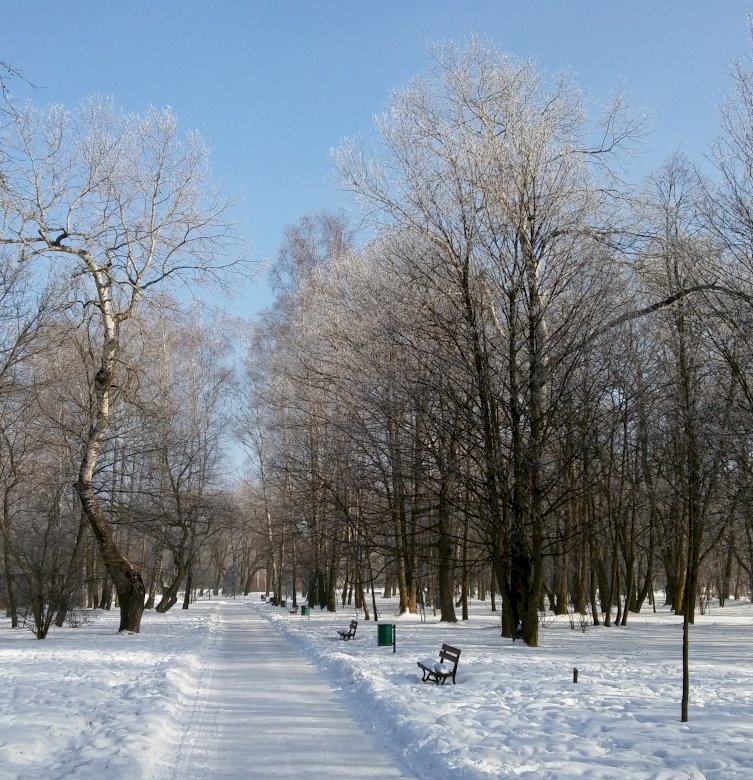 Winter in the park jigsaw puzzle online