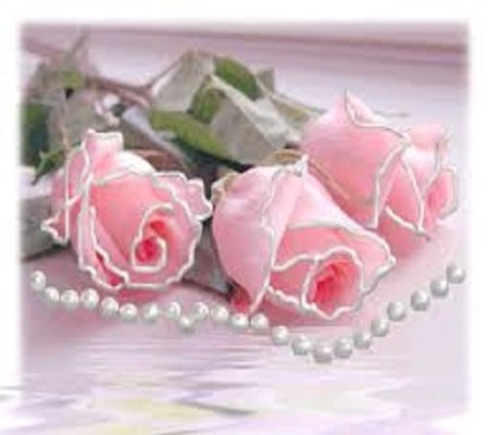 Růže skládačky online