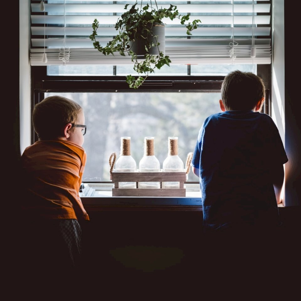 Brothers in the window jigsaw puzzle online