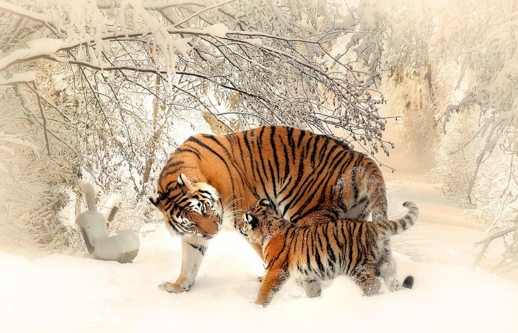 Тигр в дикій природі онлайн пазл