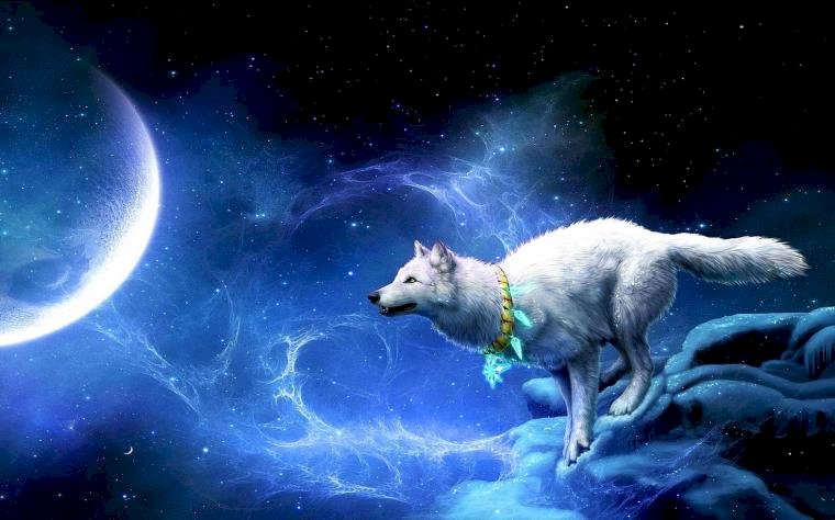 Een wolf verlicht door de maan online puzzel