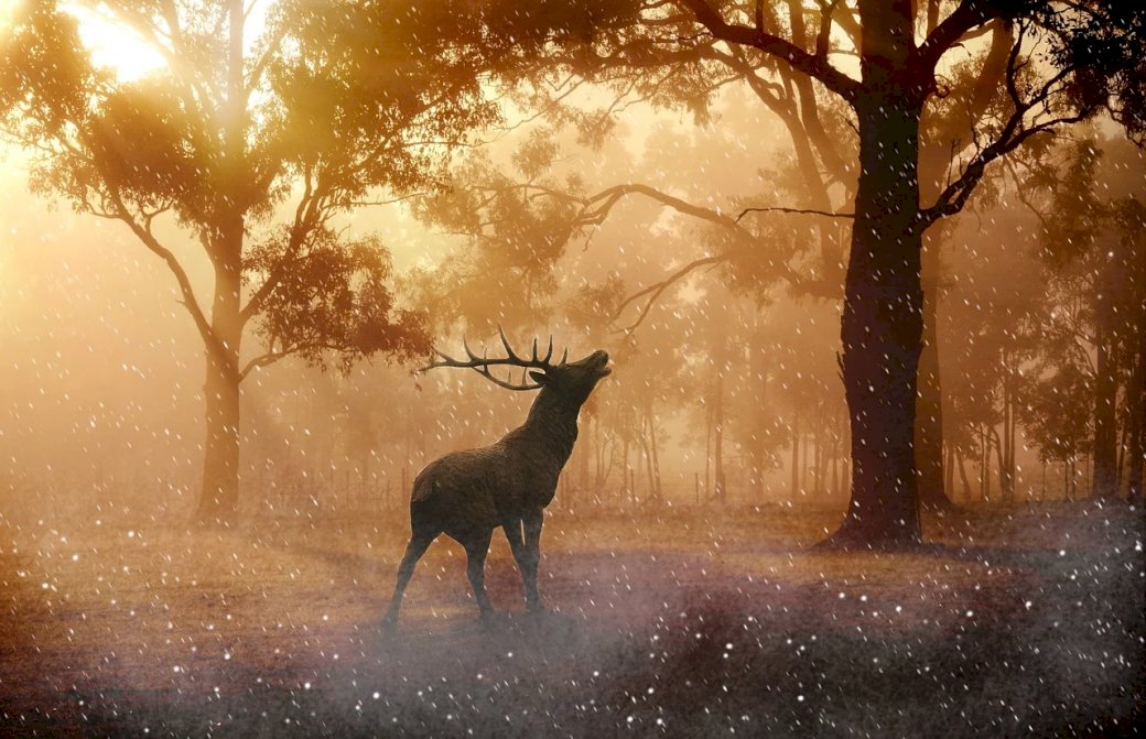 Deer in the enchanted forest jigsaw puzzle online