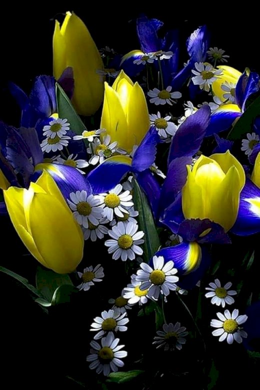 Ένα όμορφο μπουκέτο λουλούδια που μου αρέσουν online παζλ
