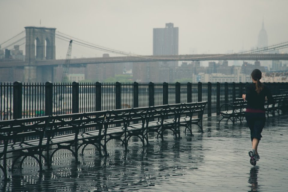Бег по Бруклинскому мосту онлайн-пазл
