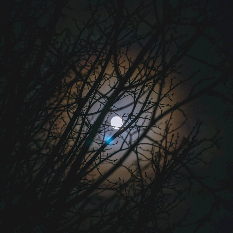 Холодная Луна 13 декабря в онлайн-пазл