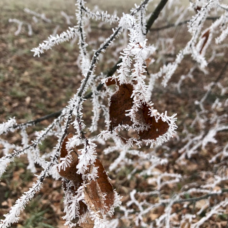 Зима, природа пазл онлайн
