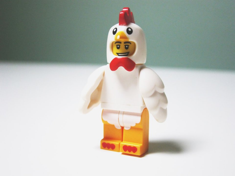 Solo un ragazzo di pollo. puzzle online