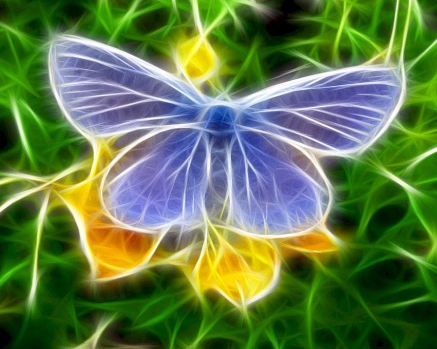 Пеперуда върху цвете онлайн пъзел