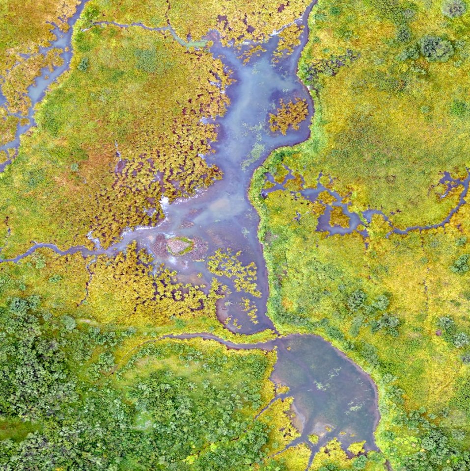 Våtmarkerna har exceptionell skönhet Pussel online