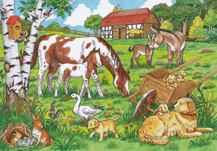 Animais no campo. puzzle online