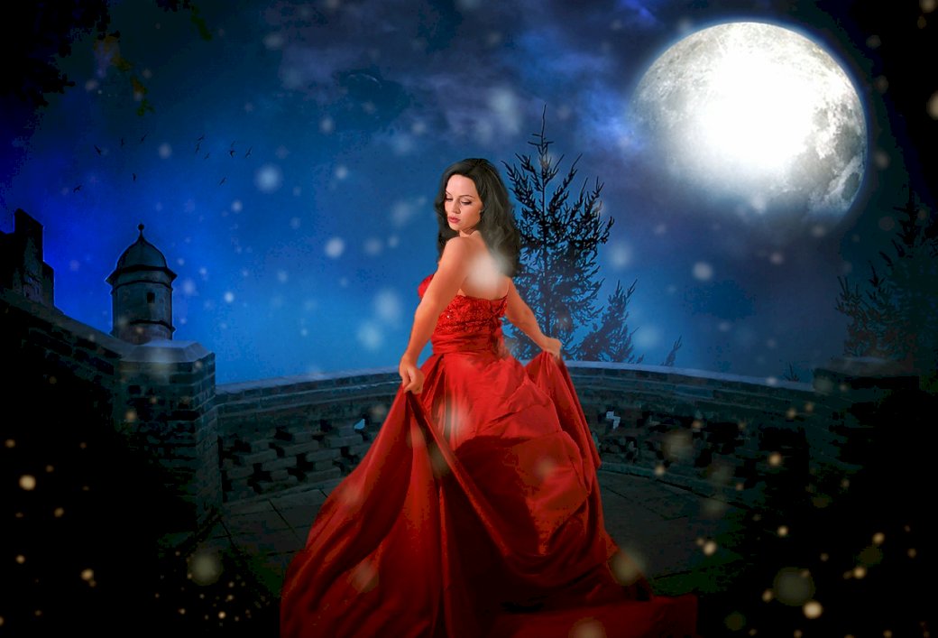 a princess at the prom jigsaw puzzle online