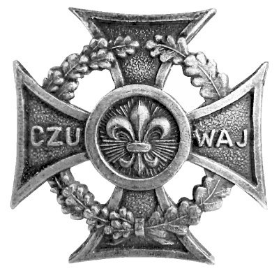 Scout Cross online puzzel