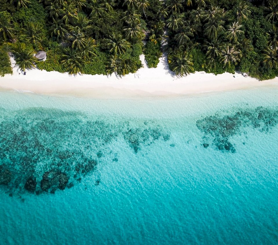 Това е плажът на Малдивите онлайн пъзел