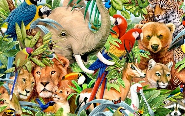 Az állatok sokfélesége. online puzzle
