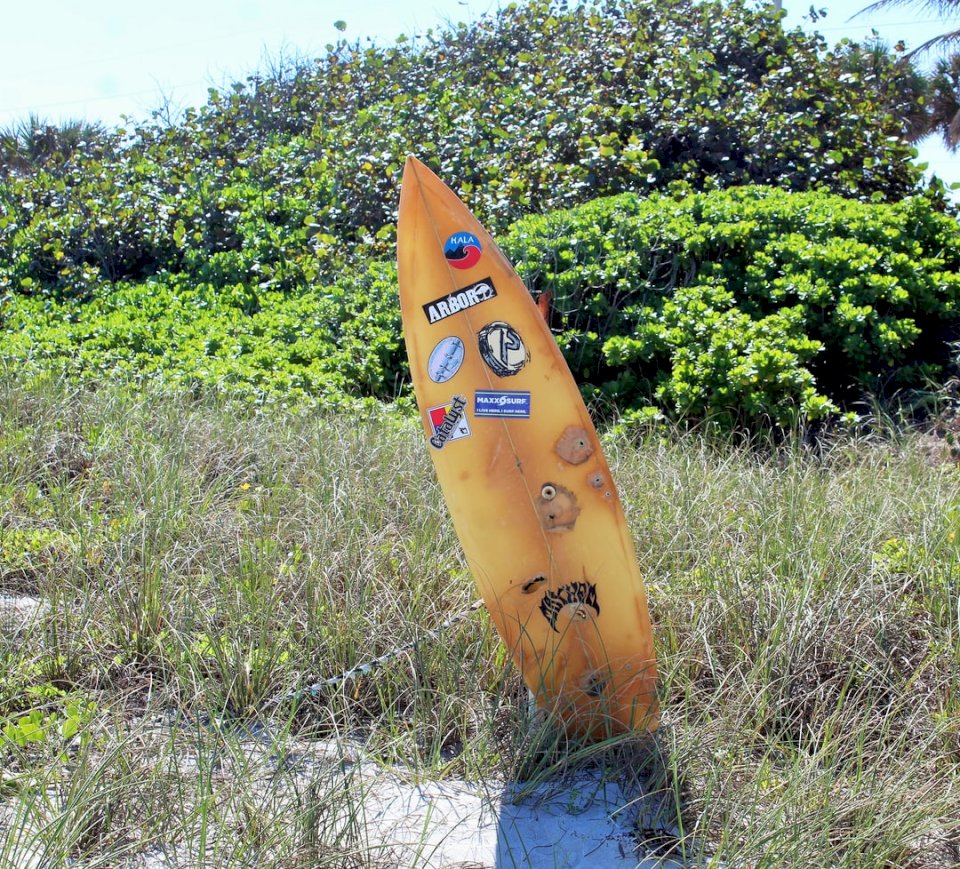 Tavola da surf sulla spiaggia puzzle online